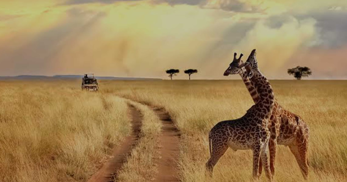 tarangire national park