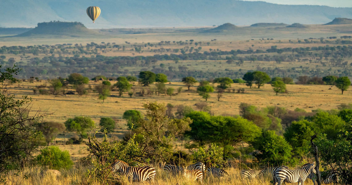 serengeti balloon safari