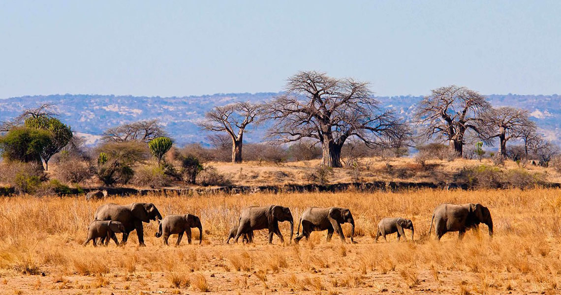 tarangire national park
